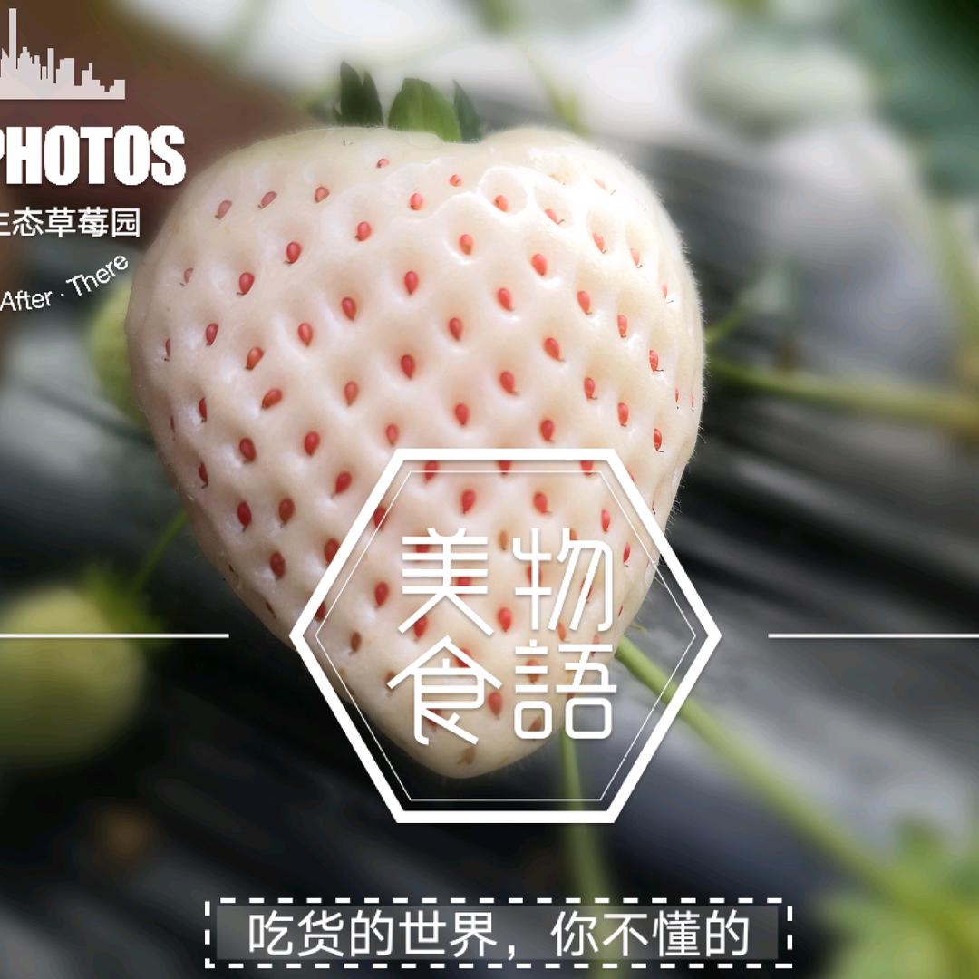 红精灵生态草莓园官方号