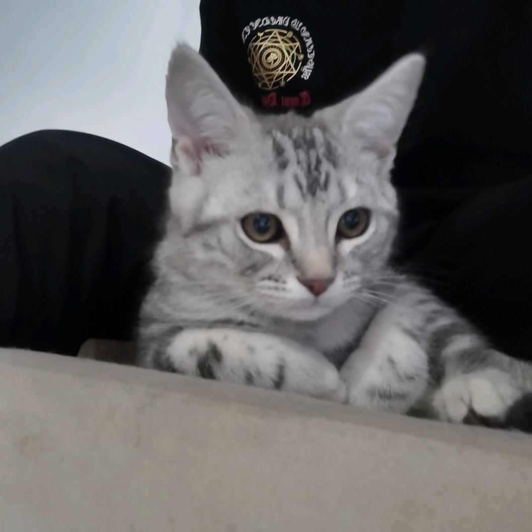 远狂