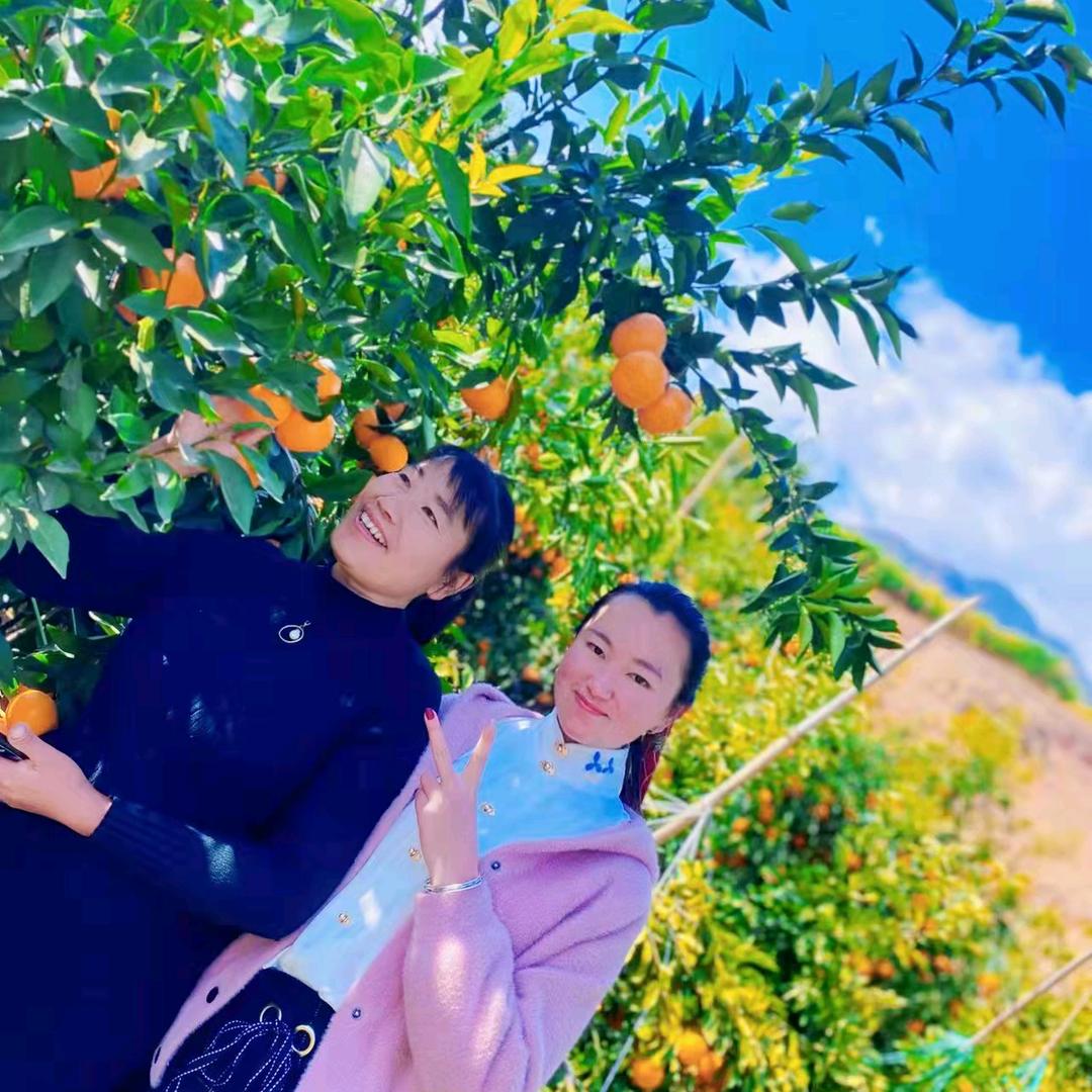 繁花若梦