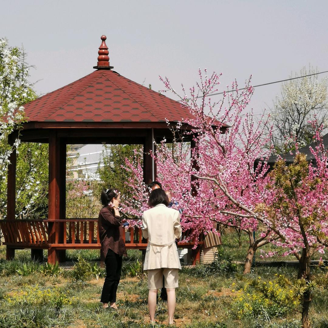 永丰清真后苑农庄