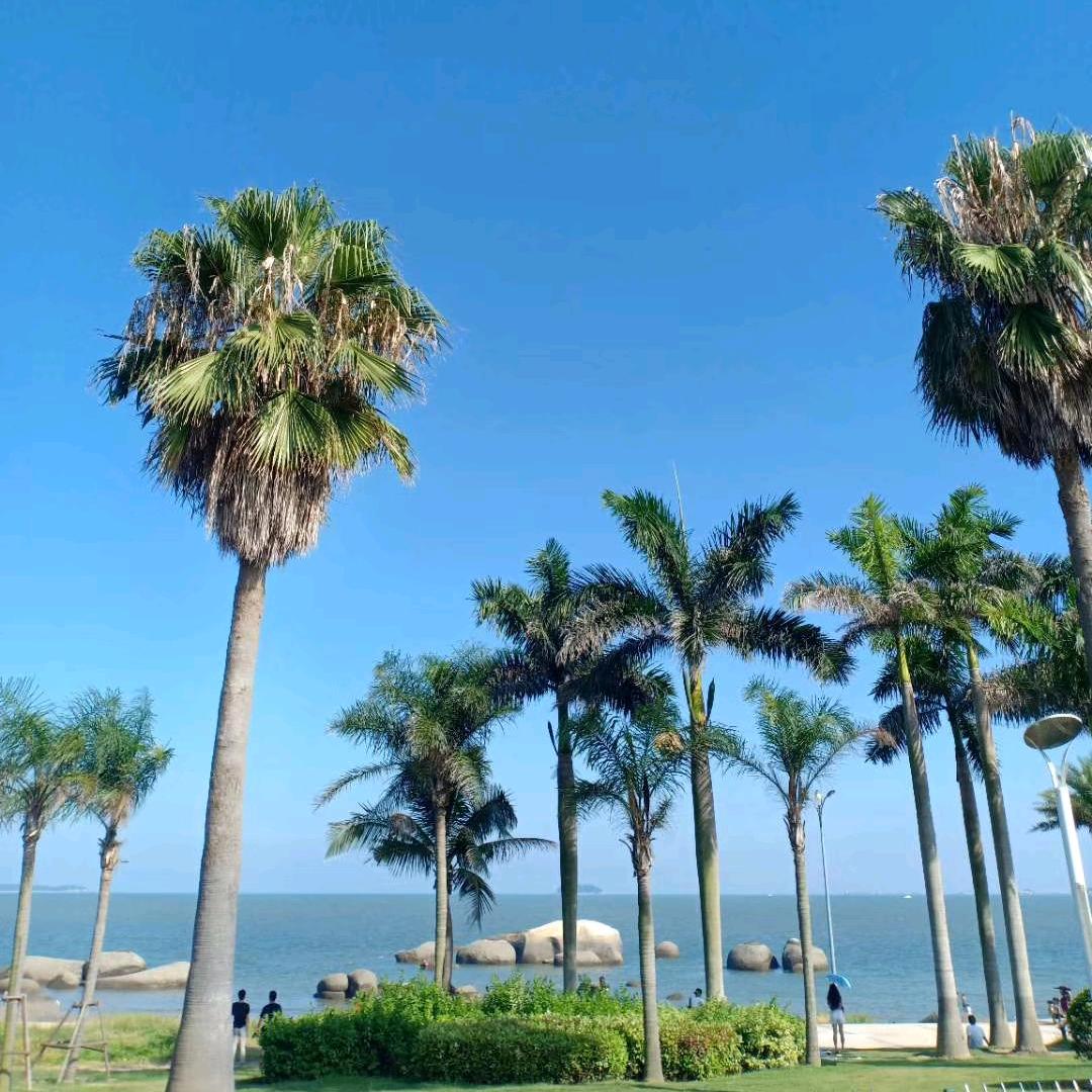 少年已不再年少