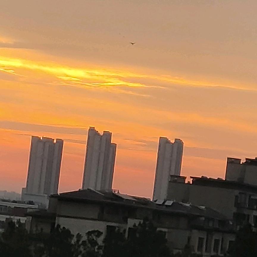 相遇的偶然