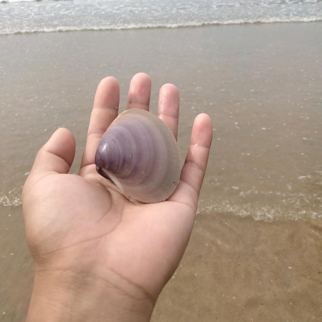 冷清秋