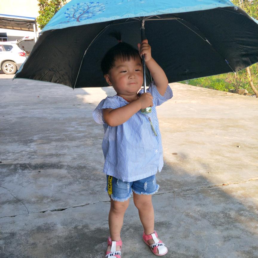 黄书霞