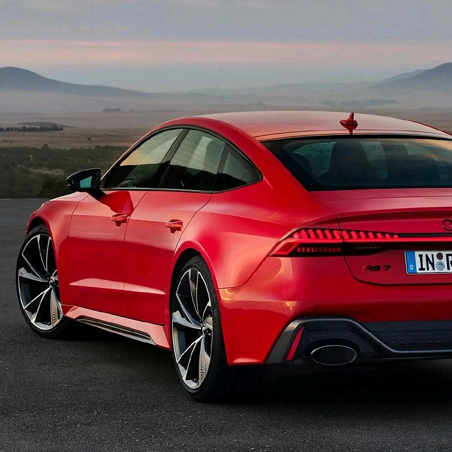 怀抱大鹅满天飞