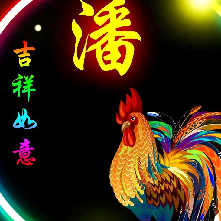 龙啸九天
