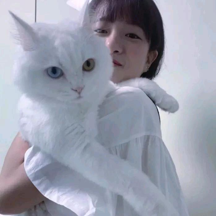 锦鲤护体