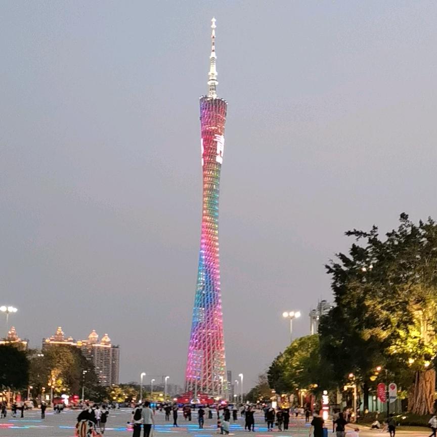 南游翼龙