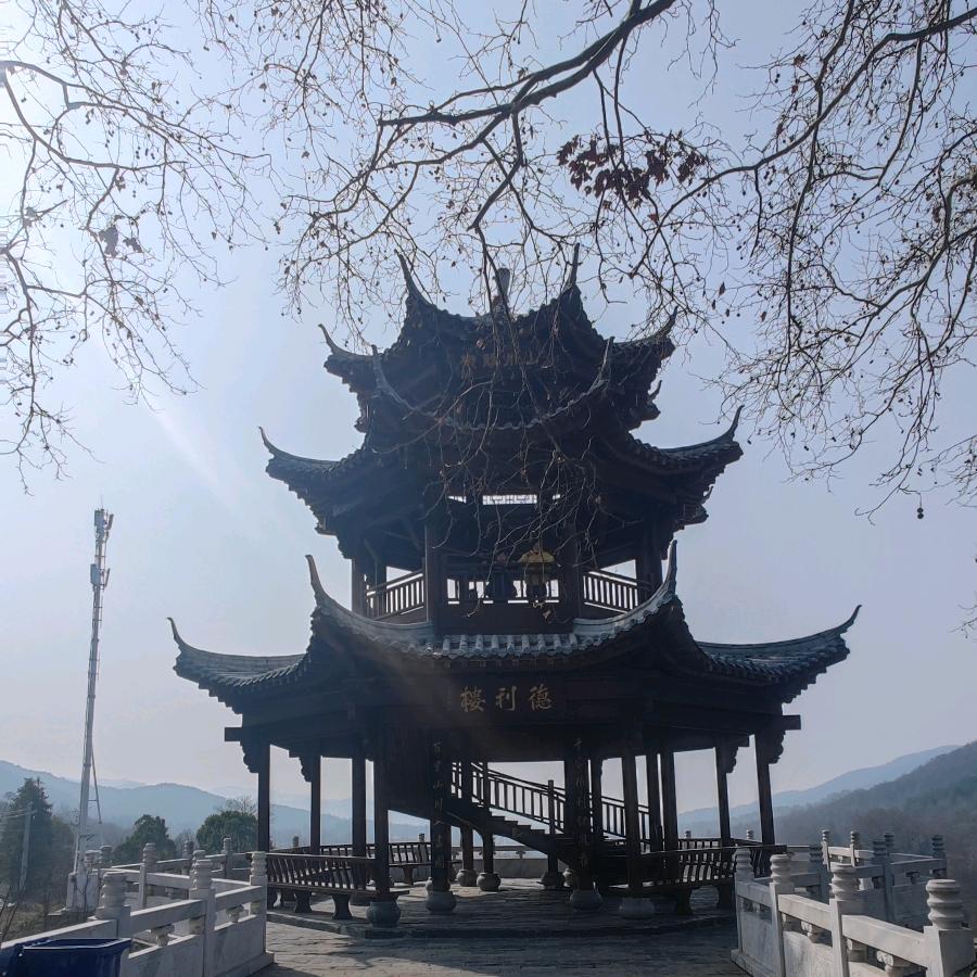 Tao头像