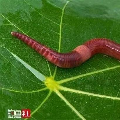 阜阳渔具批发