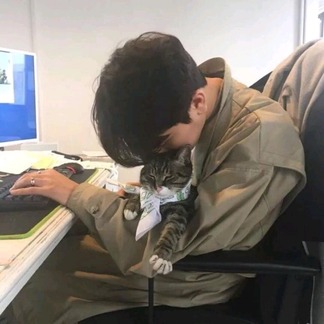 我与星光皆盼你