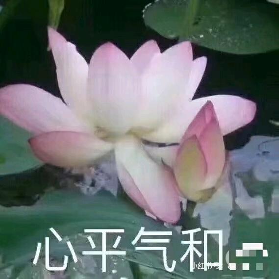 快乐就是幸福