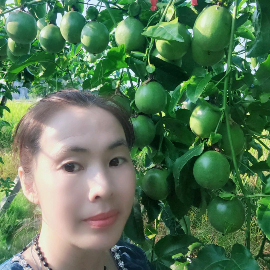 桂林新宁罗汉果科技有限公司.