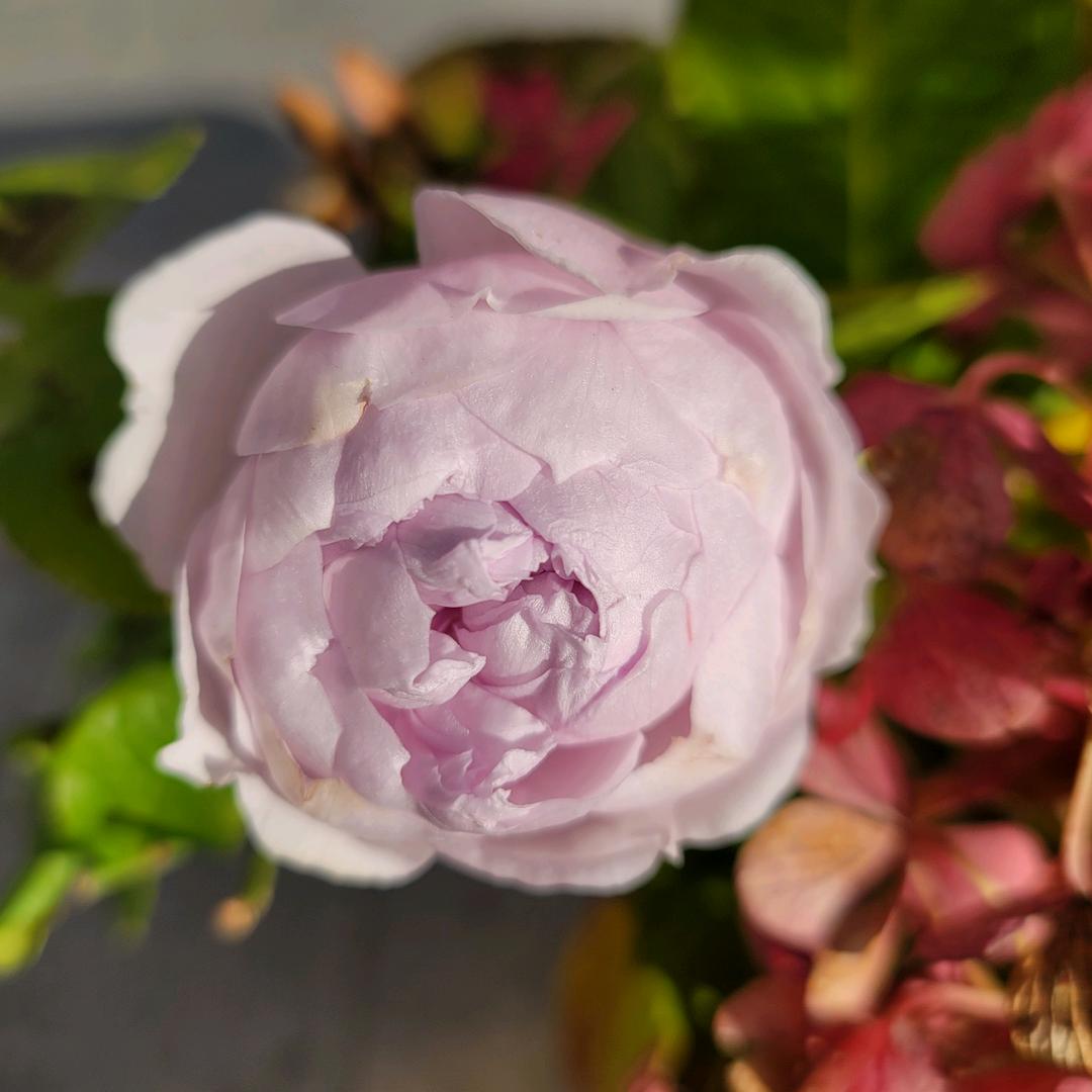 汇景酒店（樱花湖体育公园店）