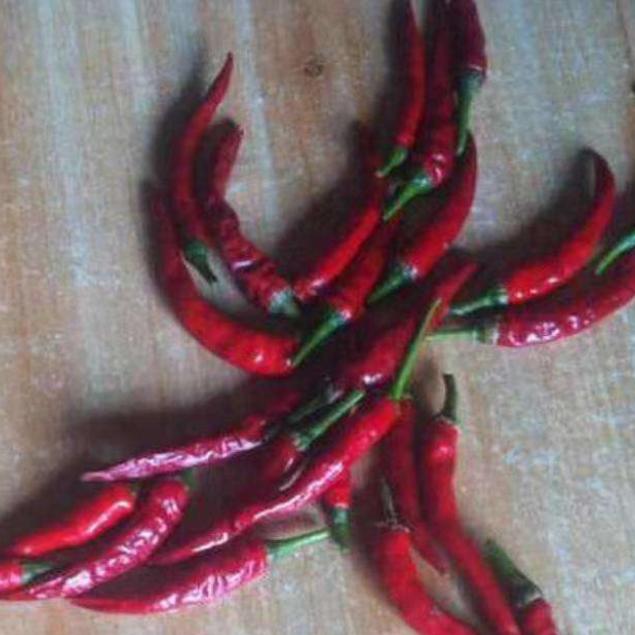 太阳出来了，照四方！