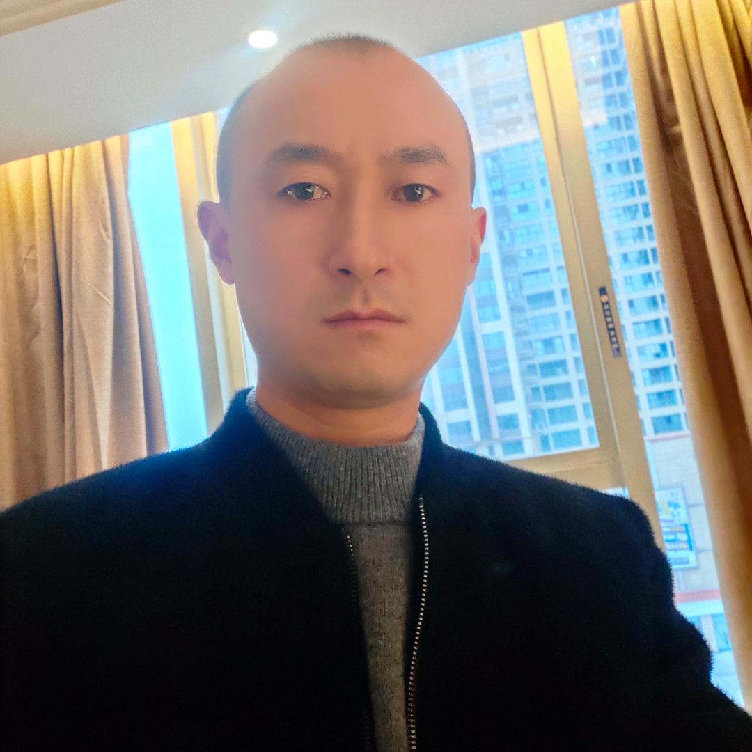 树上有只熊