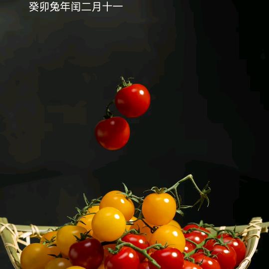 四川姐姐