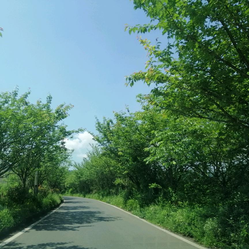 遇见三生有幸