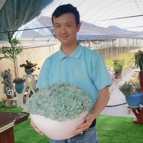 森林花卉园艺