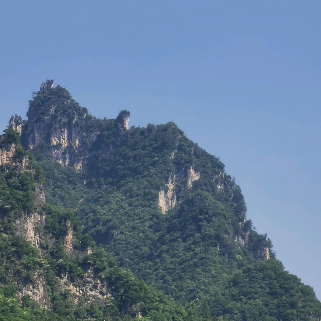 小红头像