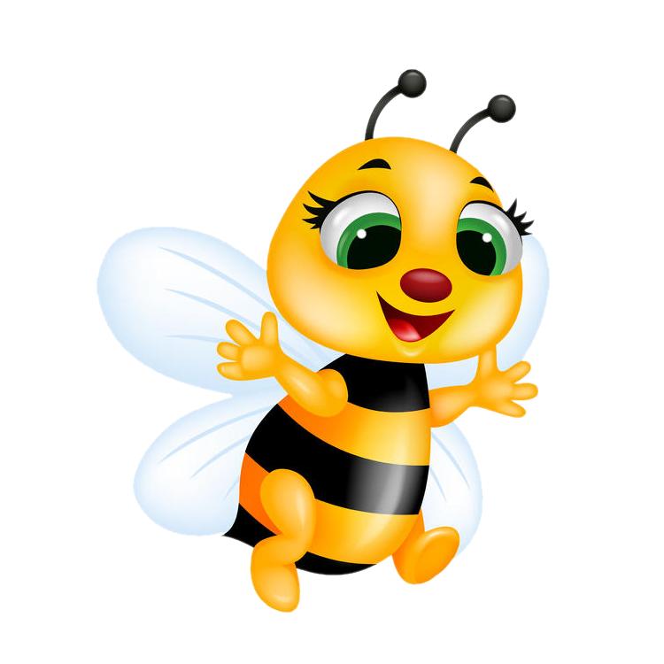 蜜蜂盘点🐝