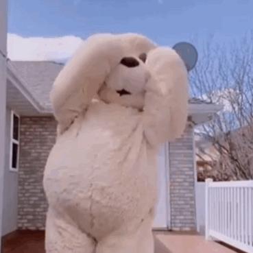 名字是什么不重要