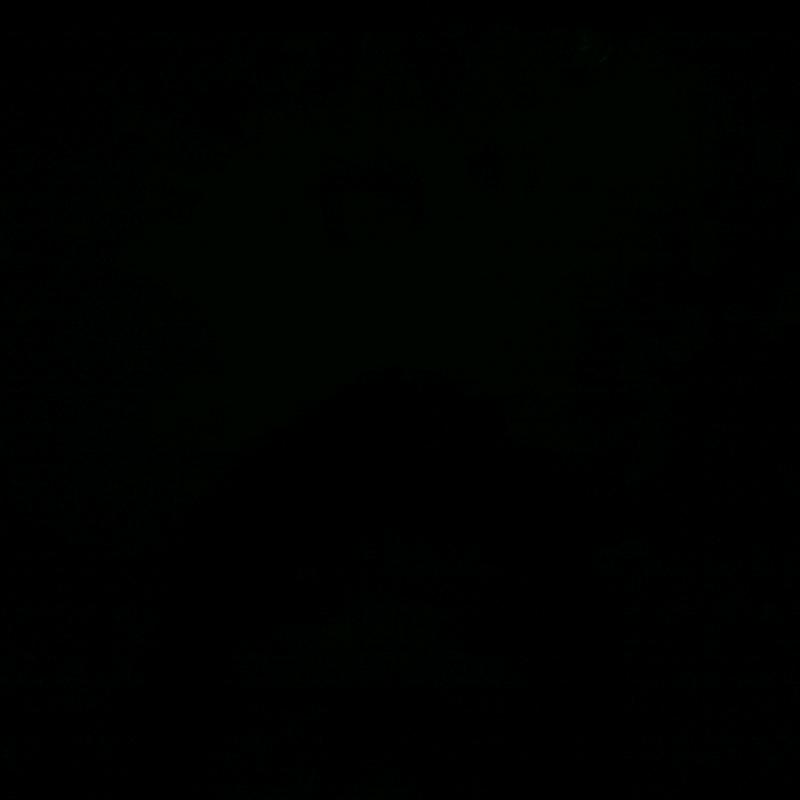 敏