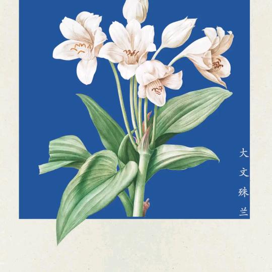 余生号不要了