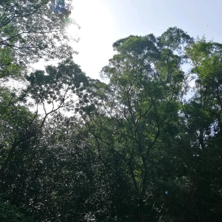 用户8215740393529