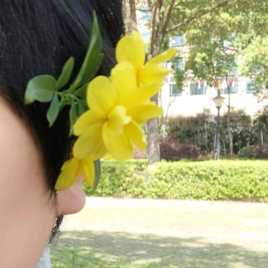 弓玄