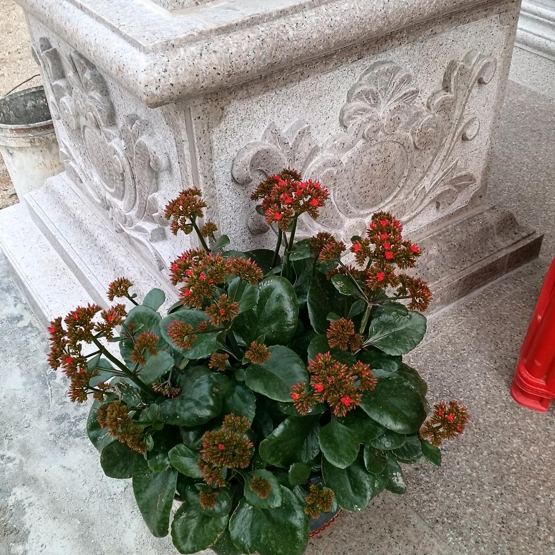 勇闯天涯。