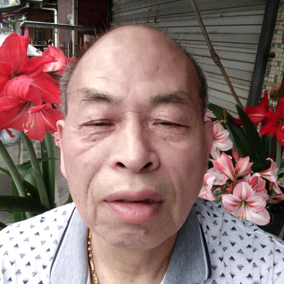 东海早9.10分首播