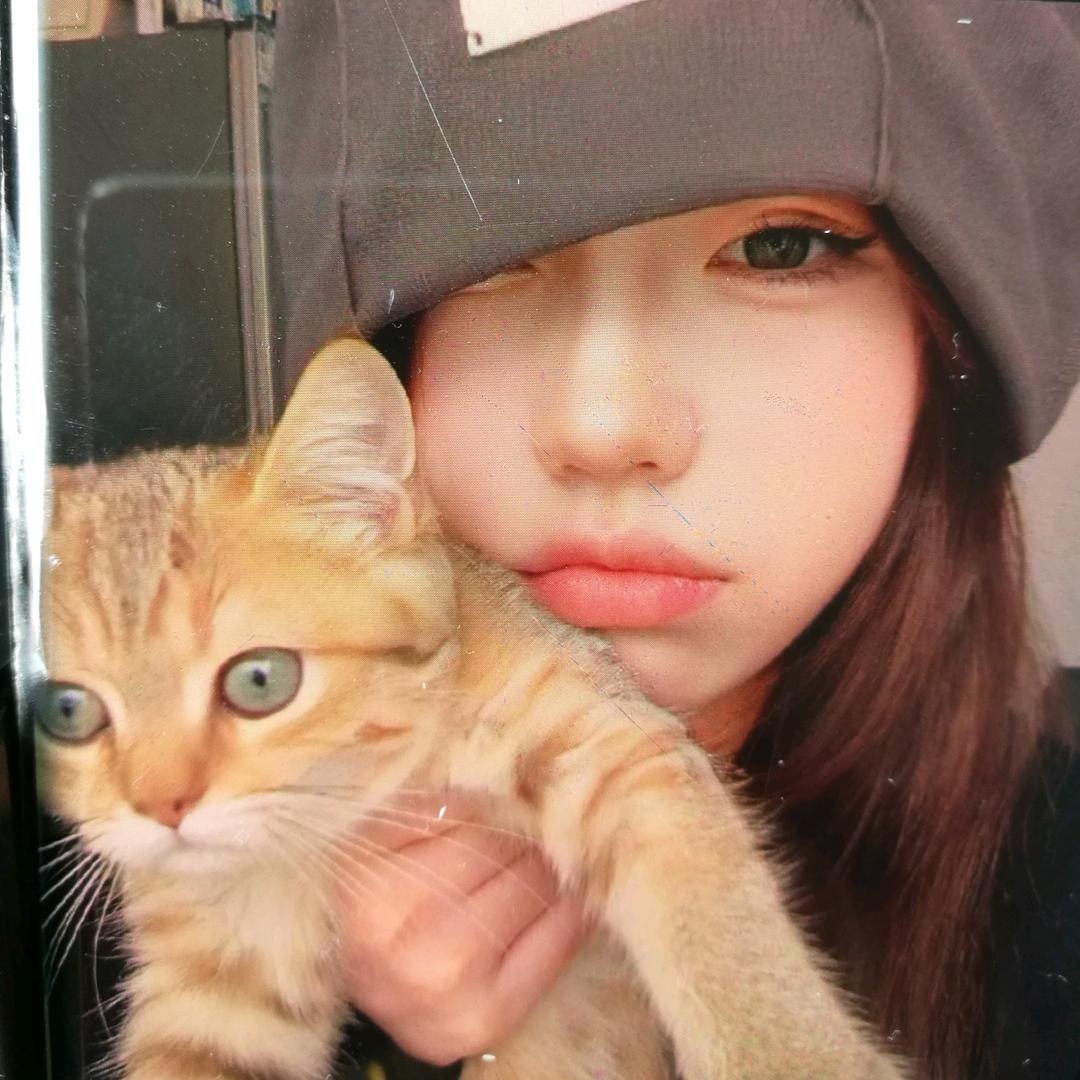 猫仔不是猫崽