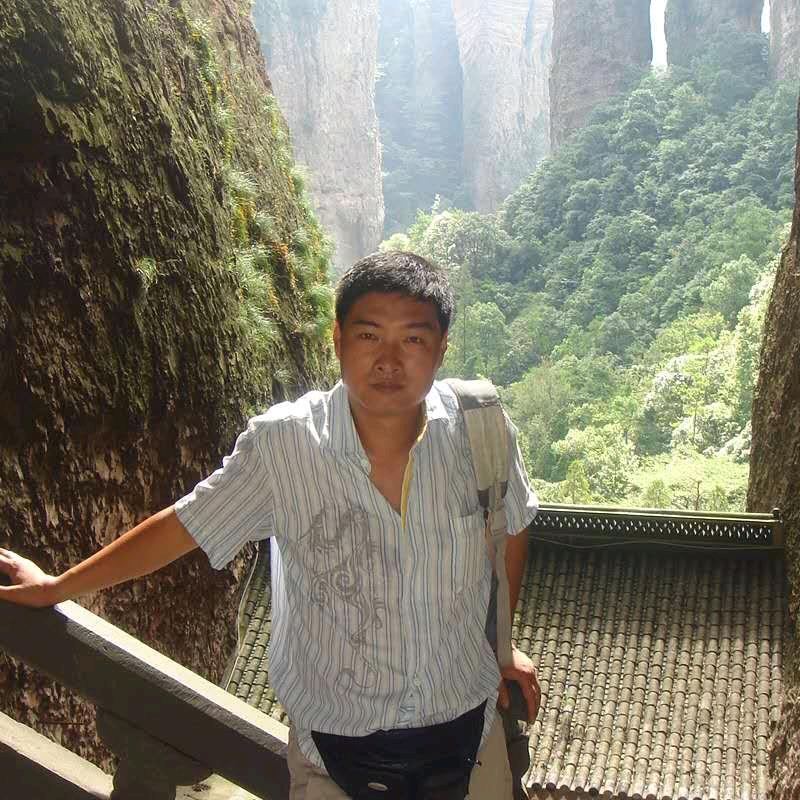 榕树