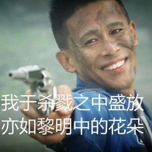 蜘蛛侠荷兰弟