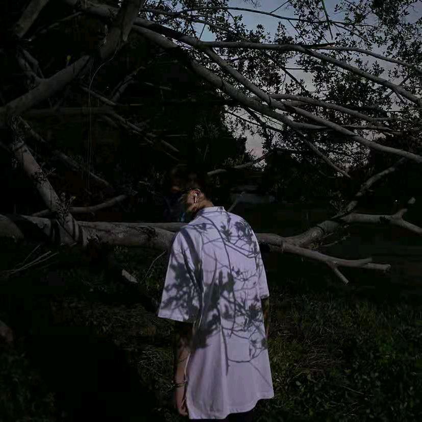东梨