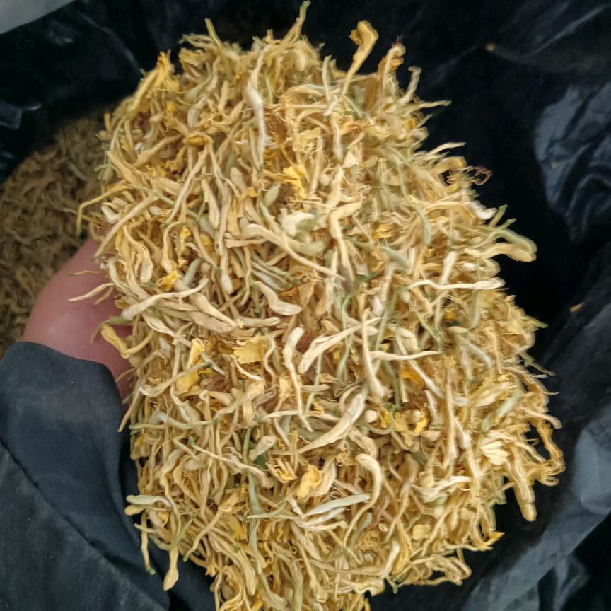 占杰金银花枸杞购销