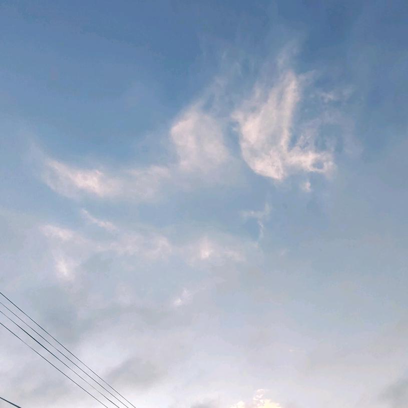 敬业思