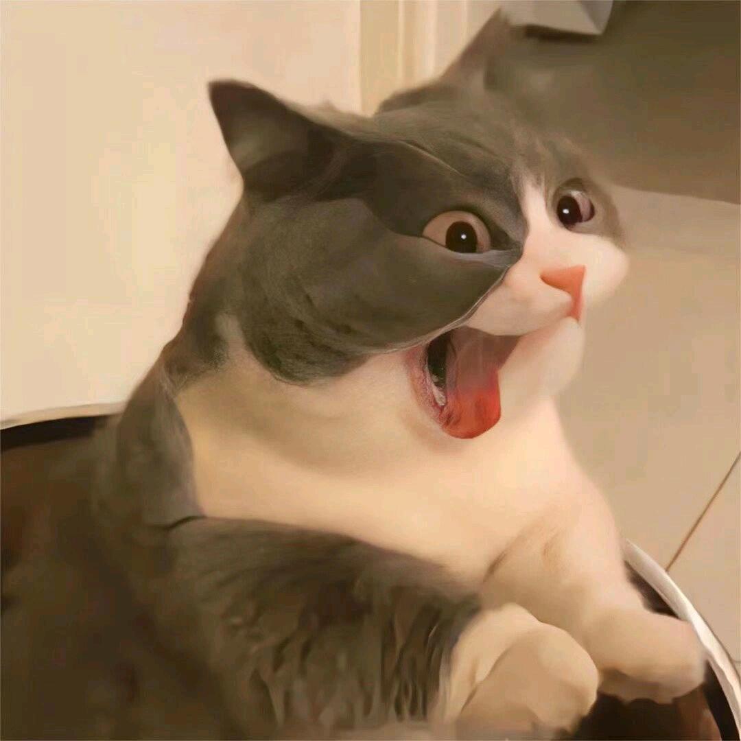 🌈!星辰大海!🌈🦁