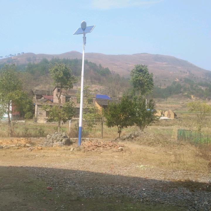 田