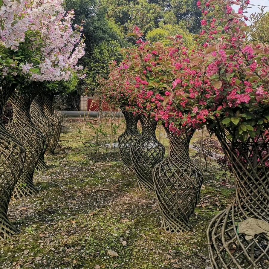 成都景艺景园林工程