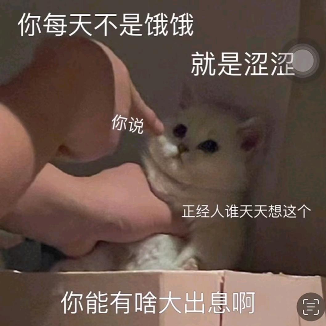 夜白白