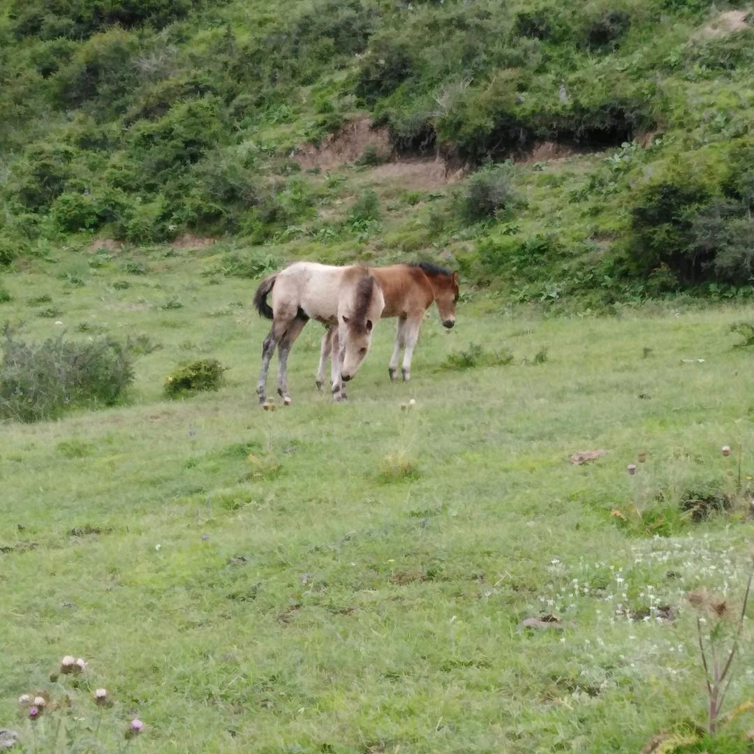 一鹿彤晗一世有勋