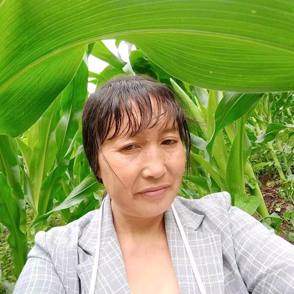 二姐(娱乐山歌)