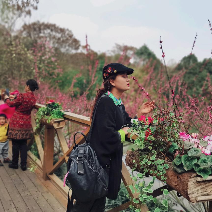 芦苇微微