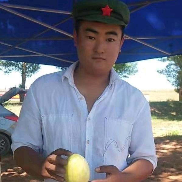 武川舒心 贝贝南瓜产地供应