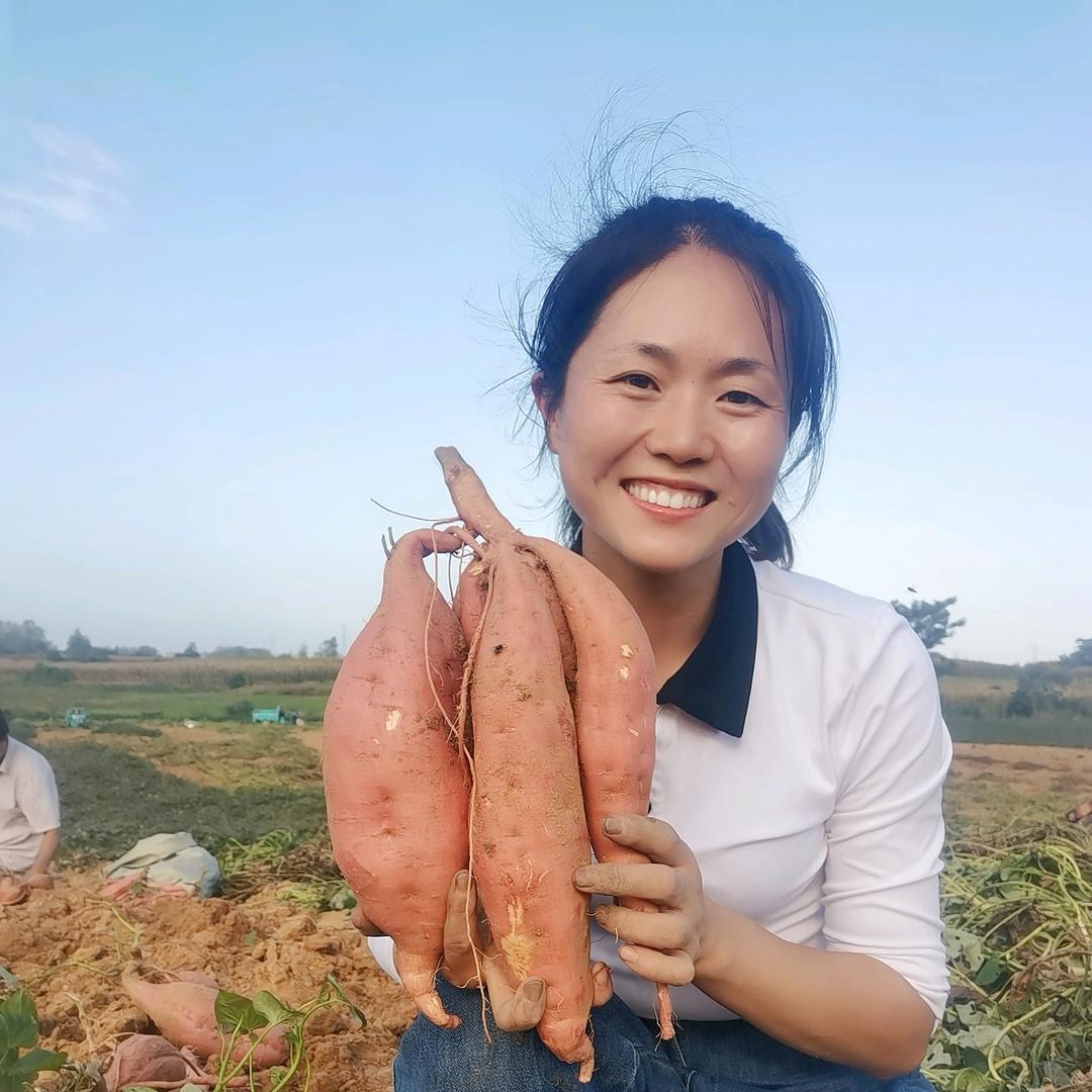 西南岗的姑娘
