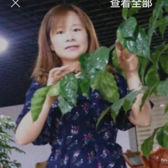 香香