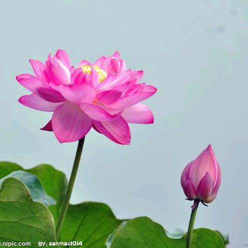 永是永远的永