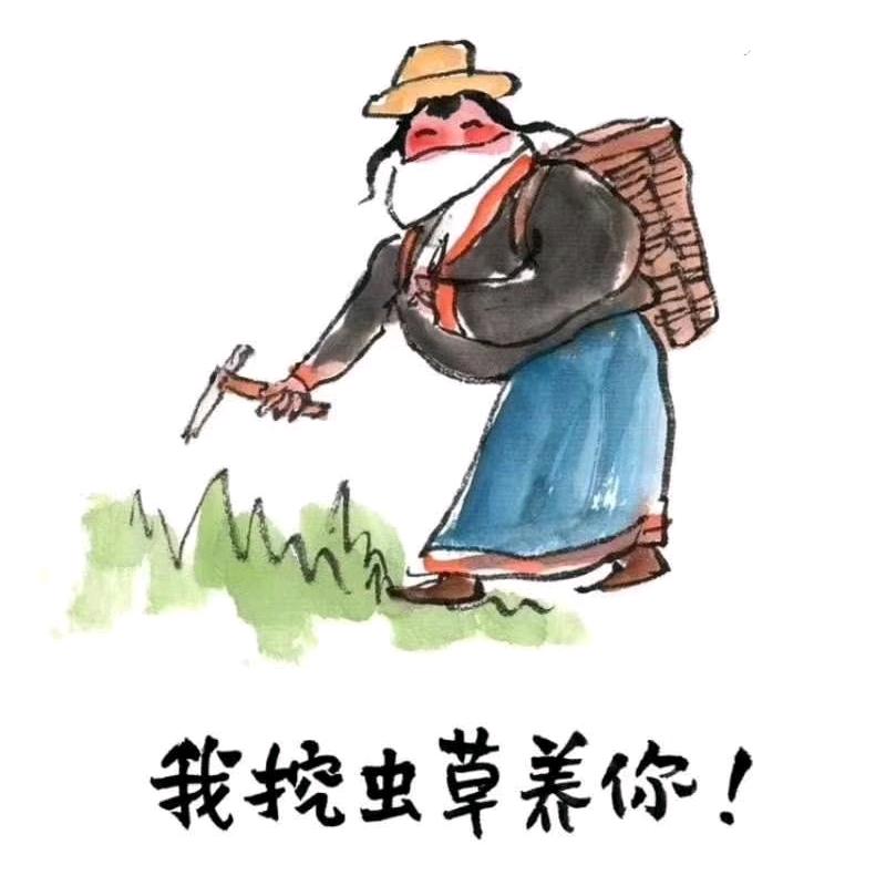 康勇